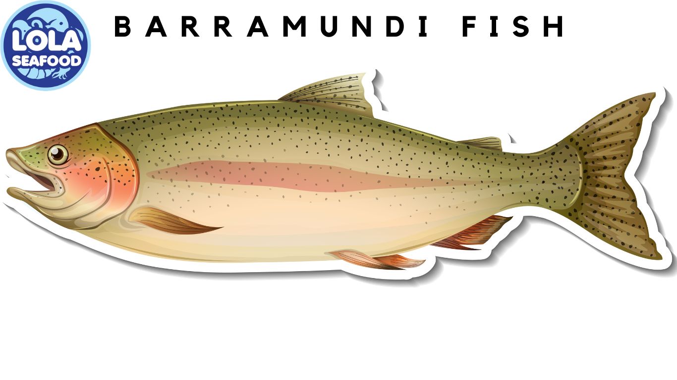 Barramundi Fish